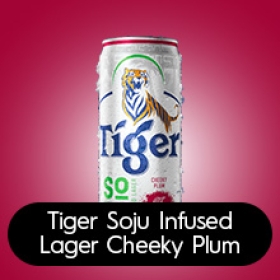 Tiger | Hapbev Corporate Web